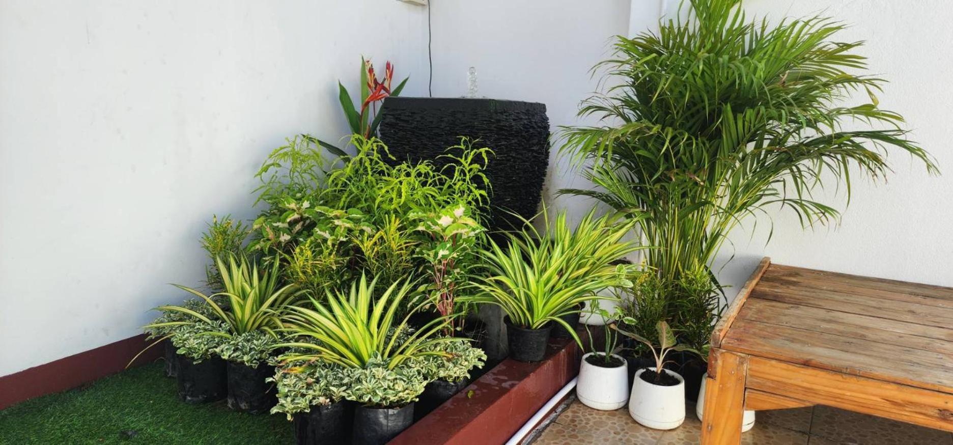 Blue Moon House - A Budget Hostel For Easy Travellers Chiang Mai Exterior photo